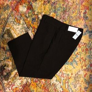 NWT! Ann Taylor Factory "The Ankle" Pants Curvy Fit Size 10P